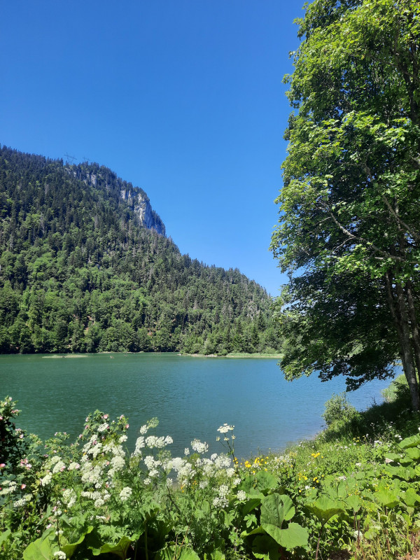 Balades sophro_Habère-Poche