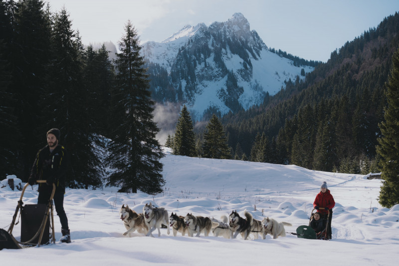 Sled dogs_Bellevaux - © Sixtine Voisin - OT Alpes du Léman Sled dogs_Bellevaux