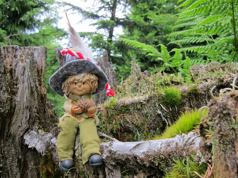 Lutin en forêt Lutin en forêt