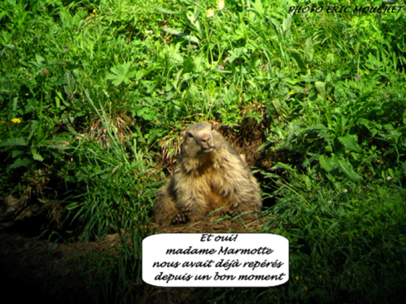 Hiking wildlife_Saxel