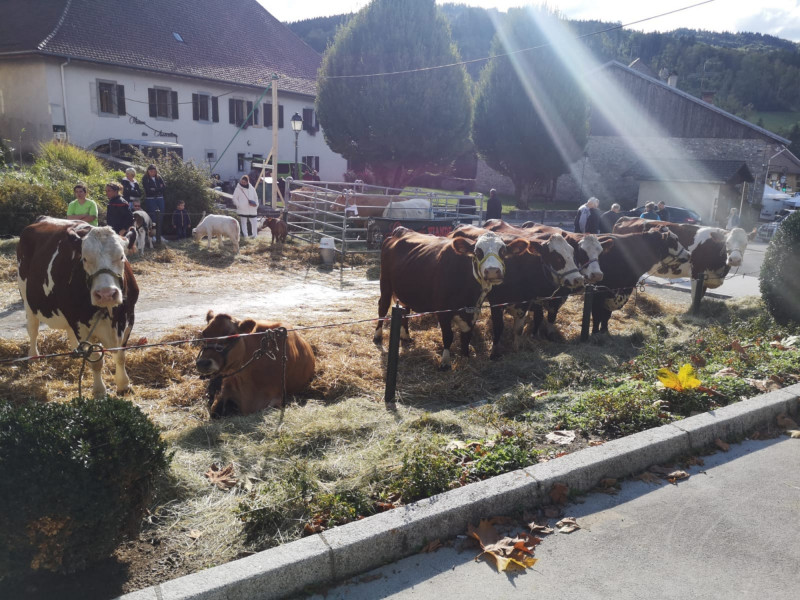 Foire de la Saint Maurice