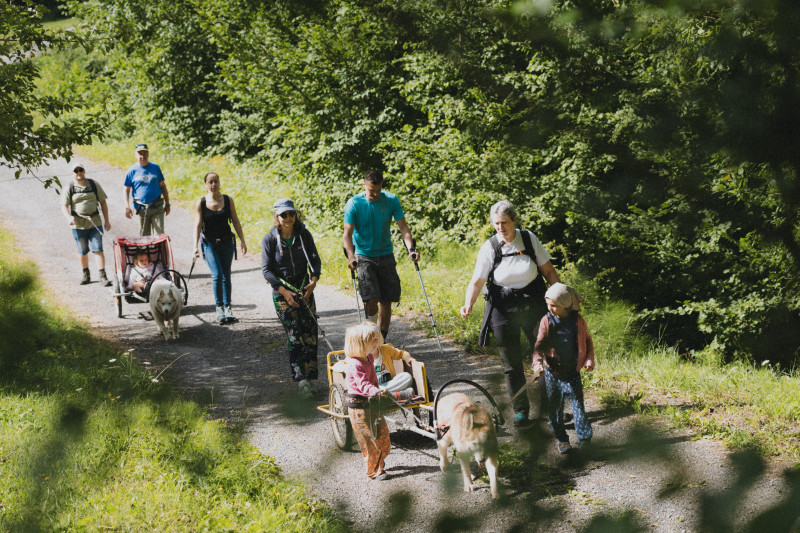 Promenade sulky en famille