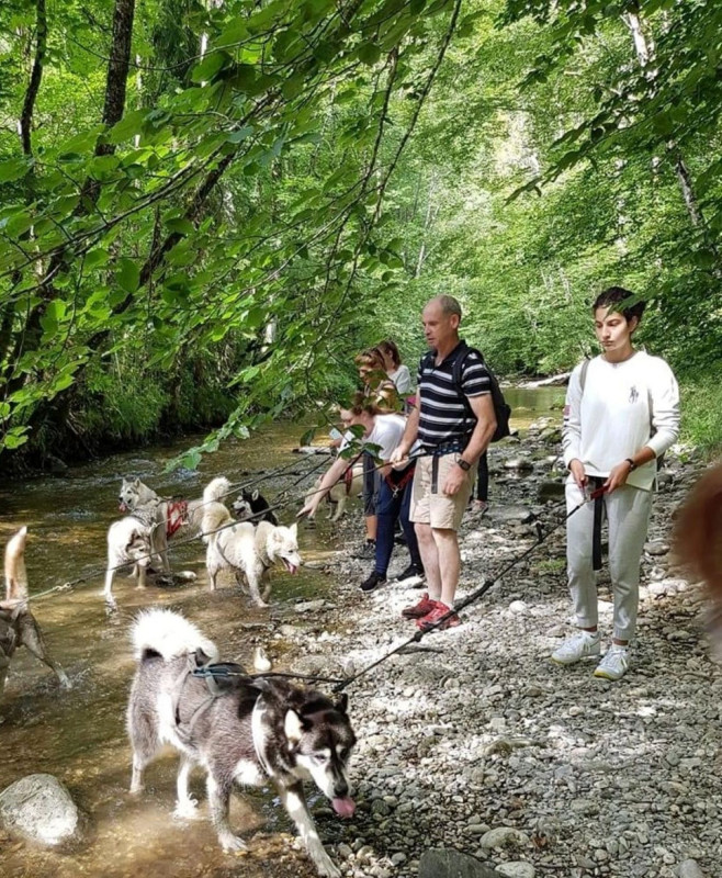 Canirando - hike with sled dogs_Vailly
