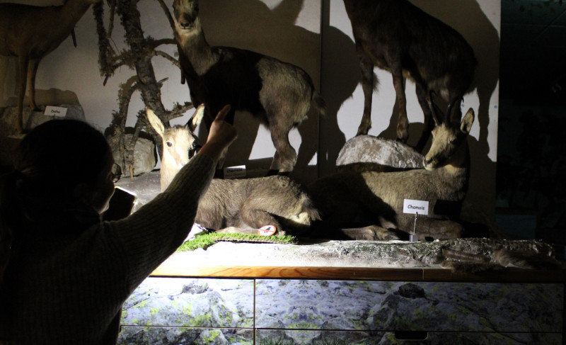La Nuit des Musées_Bellevaux La Nuit des Musées_Bellevaux
