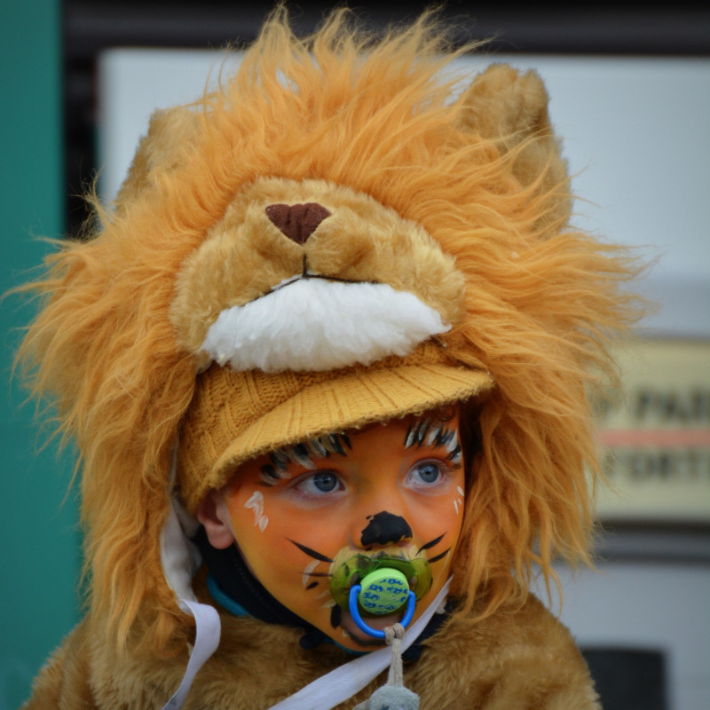 Carnaval de l'APE - © Pixabay Carnaval de l'APE