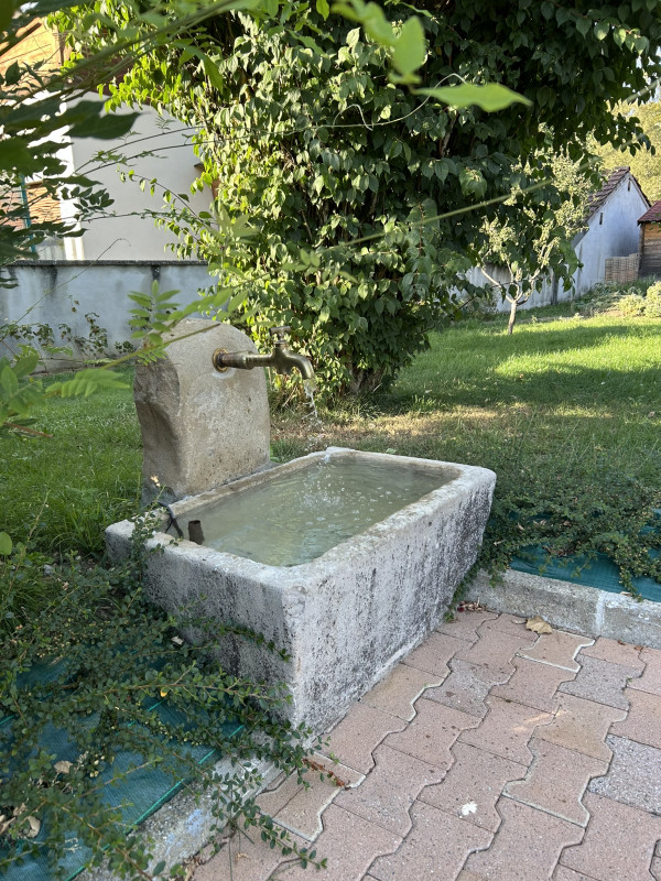 img-0678-77291