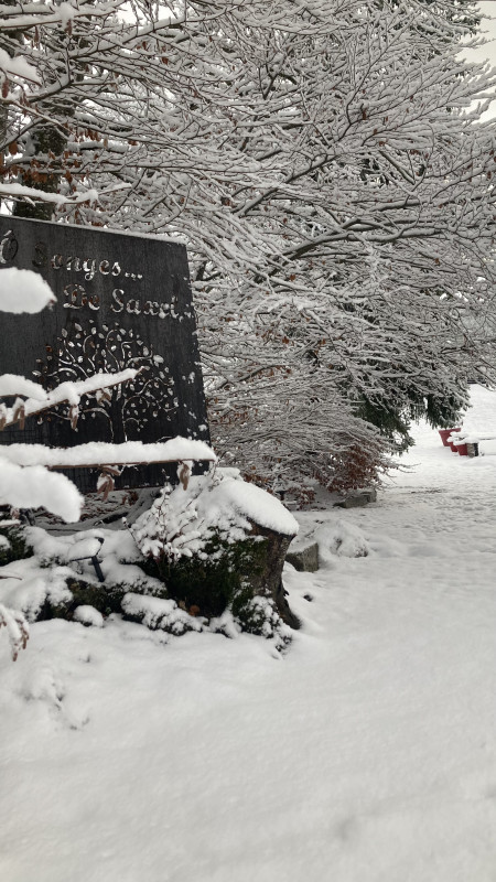 img-5851-70036 img-5851-70036