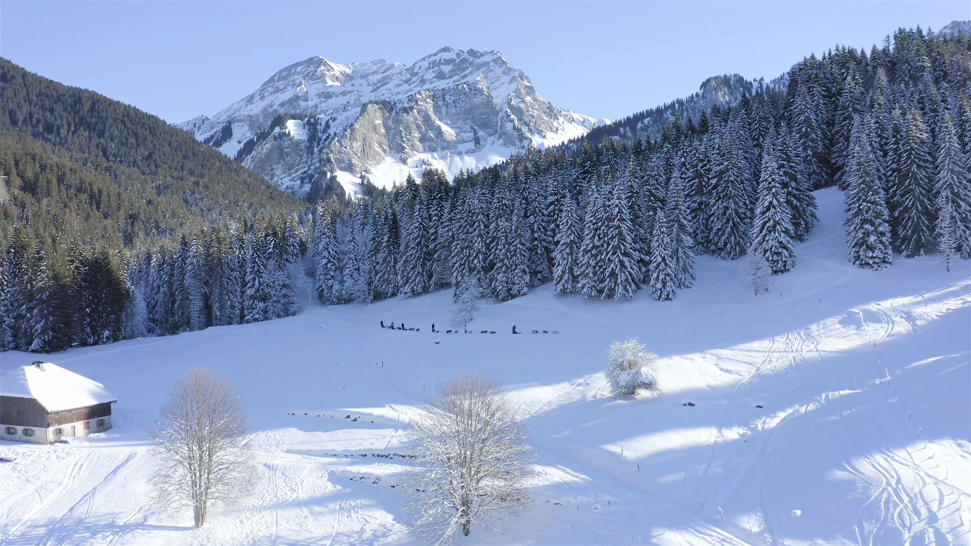 paysage au pied du Roc d'Enfer - © Mont-Blanc médias